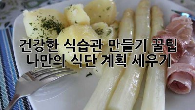 건강한 식습관 만들기 꿀팁🍯 나만의 식단 계획 세우기!