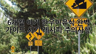 🐮 6개월 아기👶🏻 한우이유식 완벽 가이드✨ (시기, 레시피, 주의사항)