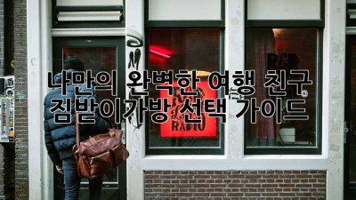 나만의 완벽한 여행 친구, 짐받이가방 선택 가이드